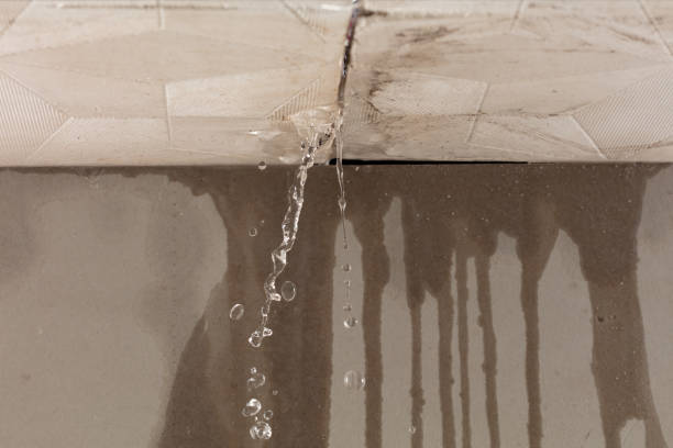 Professional Commercial Water Damage Restoration technician working in Seaview, WA